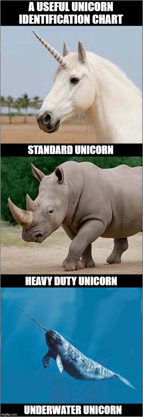 Do You Know Your Unicorns ? | A USEFUL UNICORN IDENTIFICATION CHART; STANDARD UNICORN; HEAVY DUTY UNICORN; UNDERWATER UNICORN | image tagged in unicorns,indentification,chart | made w/ Imgflip meme maker