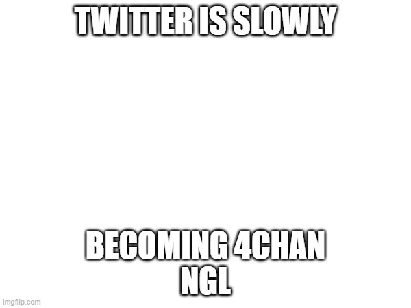 TWITTER IS SLOWLY; BECOMING 4CHAN
NGL | image tagged in msmg,twitter,x,4chan | made w/ Imgflip meme maker
