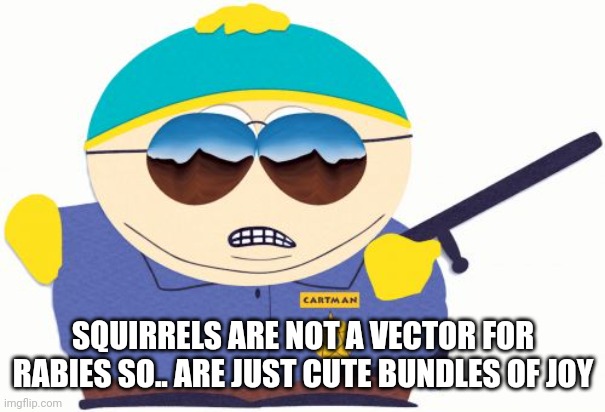 Officer Cartman Meme | SQUIRRELS ARE NOT A VECTOR FOR RABIES SO.. ARE JUST CUTE BUNDLES OF JOY | image tagged in memes,officer cartman | made w/ Imgflip meme maker