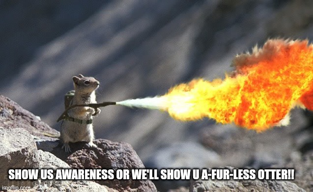 Flame War Squirrel | SHOW US AWARENESS OR WE'LL SHOW U A-FUR-LESS OTTER!! | image tagged in flame war squirrel | made w/ Imgflip meme maker