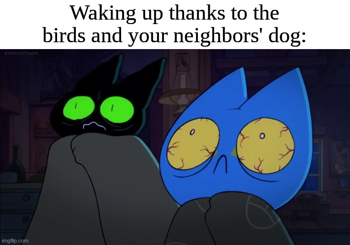 So long beauty sleep | Waking up thanks to the birds and your neighbors' dog: | image tagged in memes,funny,cartoon,relatable | made w/ Imgflip meme maker