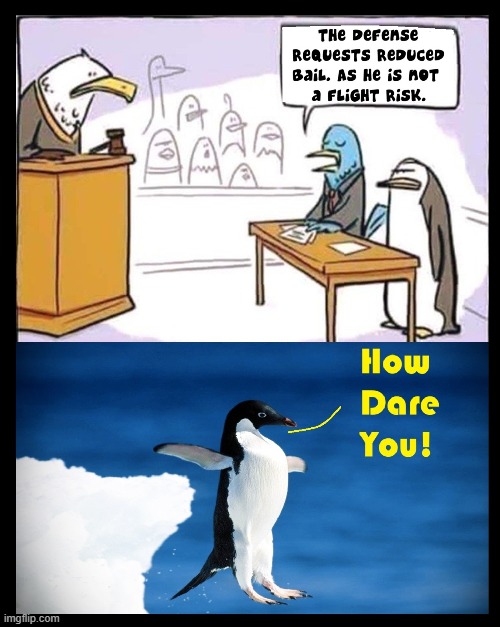 Challenge Accepted... | image tagged in vince vance,penguins,flight,risk,memes,cartoons | made w/ Imgflip meme maker