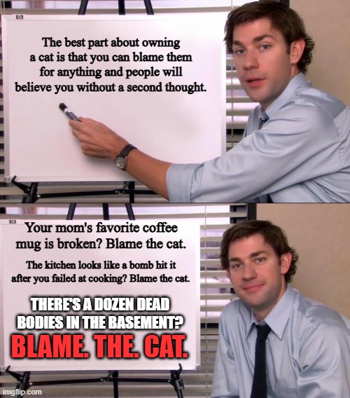 Blame the cat | The best part about owning a cat is that you can blame them for anything and people will believe you without a second thought. Your mom's favorite coffee mug is broken? Blame the cat. The kitchen looks like a bomb hit it after you failed at cooking? Blame the cat. THERE'S A DOZEN DEAD BODIES IN THE BASEMENT? BLAME. THE. CAT. | image tagged in jim halpert explains,cats,dark humor,blame | made w/ Imgflip meme maker