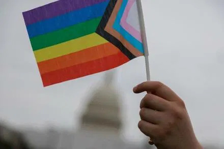 Mental Illness flag Blank Meme Template