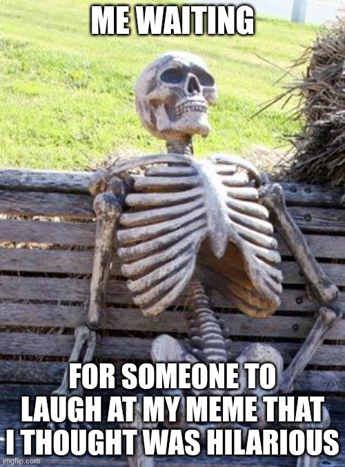 mem | ME WAITING; FOR SOMEONE TO LAUGH AT MY MEME THAT I THOUGHT WAS HILARIOUS | image tagged in memes,waiting skeleton | made w/ Imgflip meme maker
