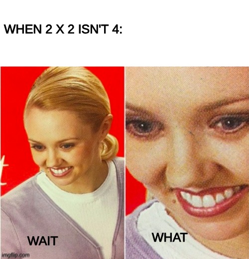 wait a minute | WHEN 2 X 2 ISN'T 4:; WAIT; WHAT | image tagged in the what | made w/ Imgflip meme maker