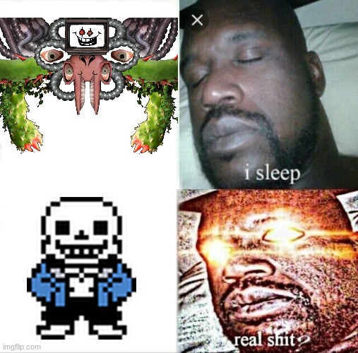 Sleeping Shaq | image tagged in memes,sleeping shaq | made w/ Imgflip meme maker