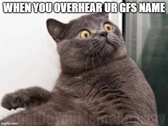 Who said what ab her? | WHEN YOU OVERHEAR UR GFS NAME; WhatDoYouMemeAnyway | image tagged in the moment when you realise exams are in a month | made w/ Imgflip meme maker