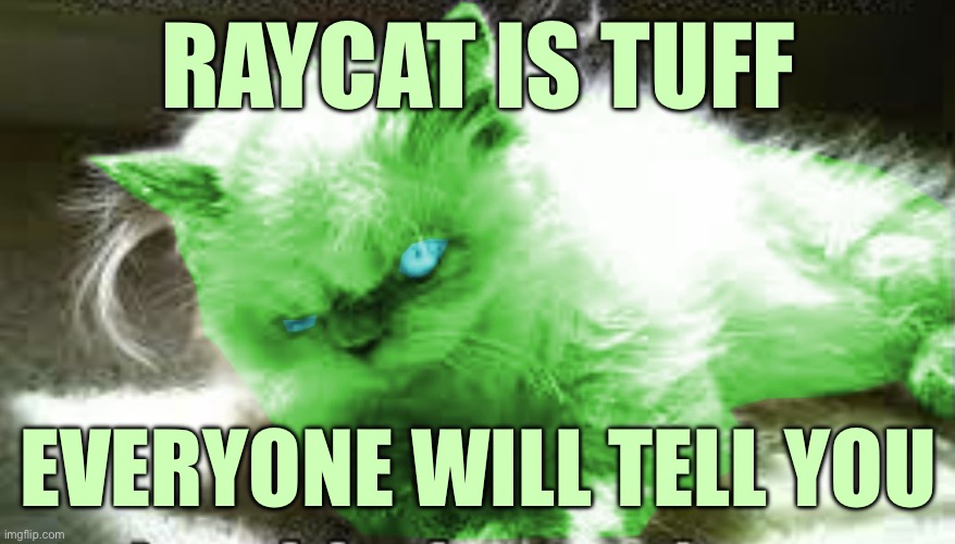 So Tuff | RAYCAT IS TUFF; EVERYONE WILL TELL YOU | image tagged in mad raycat,memes | made w/ Imgflip meme maker