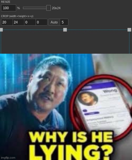 image tagged in why is he lying | made w/ Imgflip meme maker