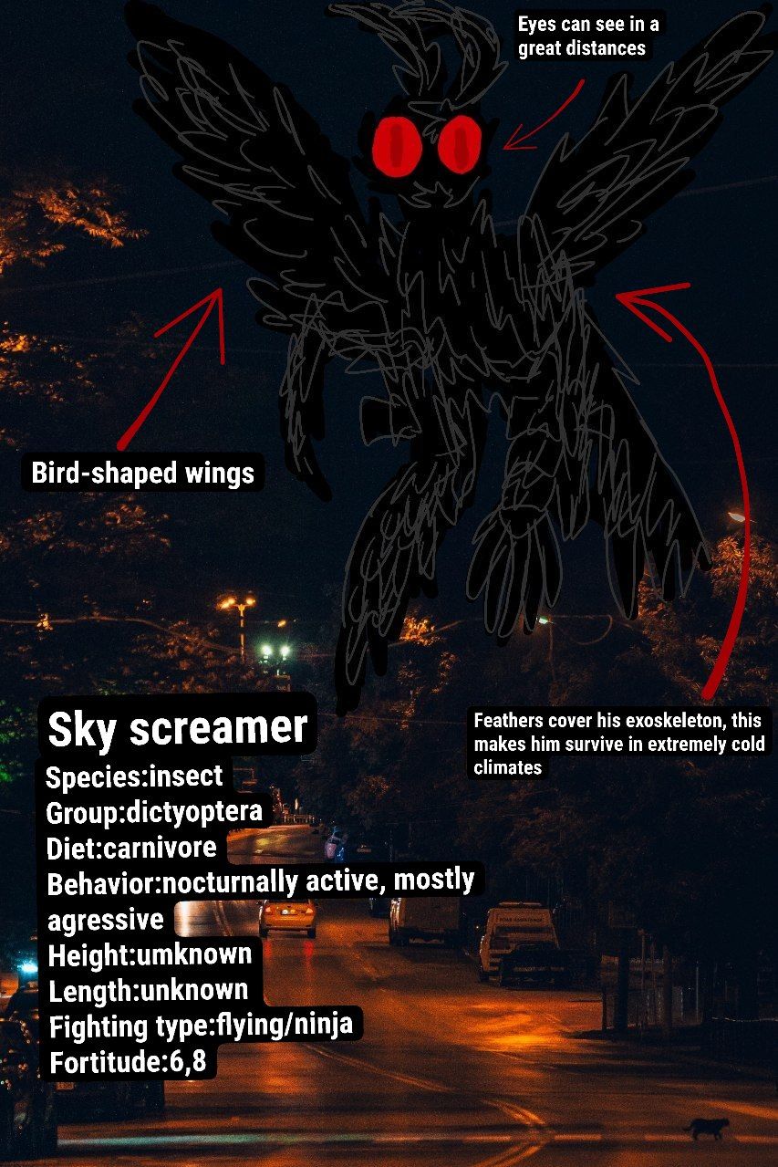 Sky screamer profile Blank Meme Template