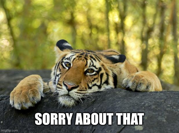 Confession Tiger | SORRY ABOUT THAT | image tagged in confession tiger | made w/ Imgflip meme maker