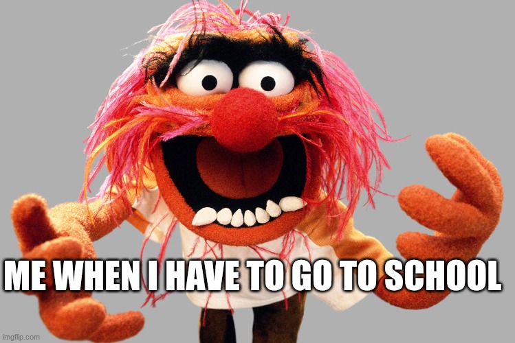 animal muppets | ME WHEN I HAVE TO GO TO SCHOOL | image tagged in animal muppets | made w/ Imgflip meme maker