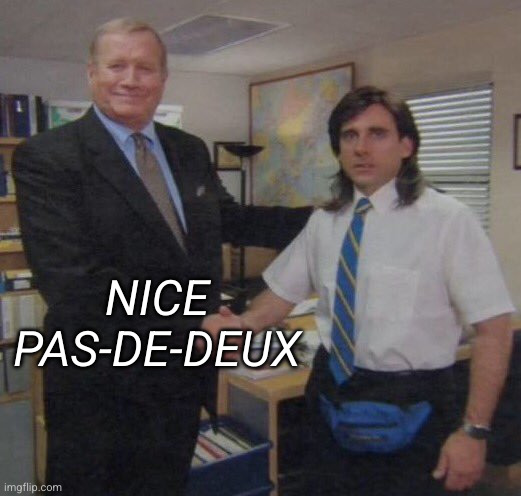 the office congratulations | NICE PAS-DE-DEUX | image tagged in the office congratulations | made w/ Imgflip meme maker