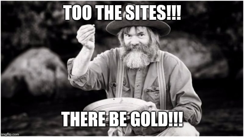 I'm golding it | TOO THE SITES!!! THERE BE GOLD!!! | image tagged in prospector | made w/ Imgflip meme maker