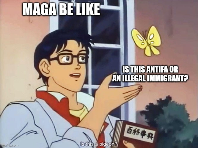 MAGA BE LIKE | MAGA BE LIKE; IS THIS ANTIFA OR AN ILLEGAL IMMIGRANT? | image tagged in anime butterfly meme | made w/ Imgflip meme maker