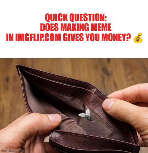 ... Please say ... | QUICK QUESTION:
DOES MAKING MEME IN IMGFLIP.COM GIVES YOU MONEY? 💰 | image tagged in blank white template,empty wallet | made w/ Imgflip meme maker