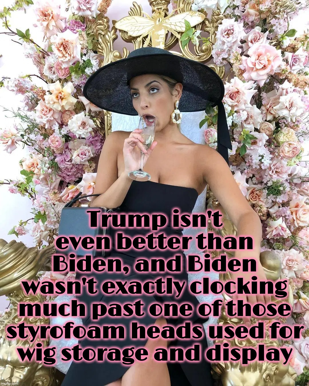 Face it, they're both not only way past their "Use by" date, they've both always been of rather 'undefinable' value. | Trump isn't
even better than
Biden, and Biden
wasn't exactly clocking
much past one of those
styrofoam heads used for
wig storage and display | image tagged in jade tunchy,trump,biden,aren't they a pair,they both suck,and not in a good way | made w/ Imgflip meme maker