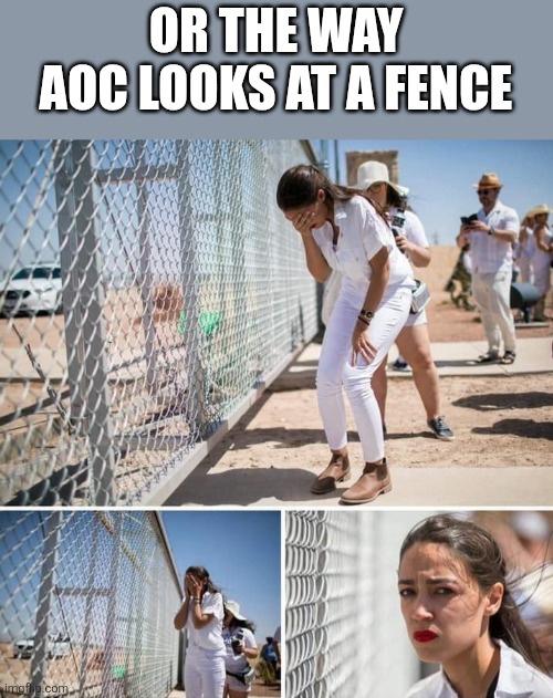 OR THE WAY AOC LOOKS AT A FENCE | image tagged in aoc fence | made w/ Imgflip meme maker