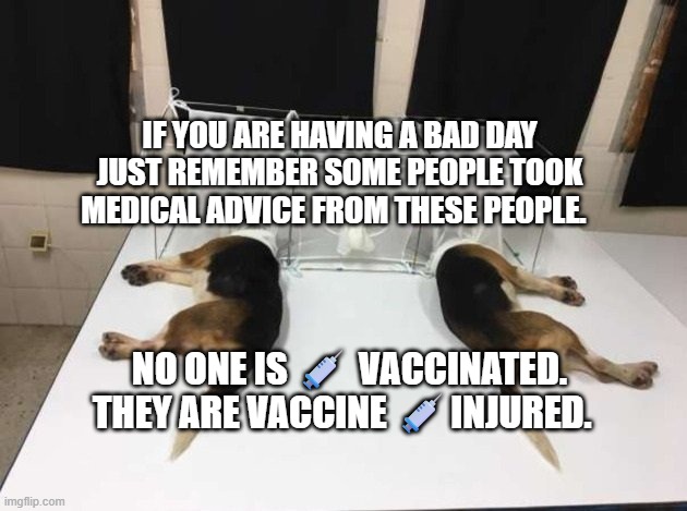 Anthony Fauci Loves Dogs and People | IF YOU ARE HAVING A BAD DAY JUST REMEMBER SOME PEOPLE TOOK MEDICAL ADVICE FROM THESE PEOPLE. NO ONE IS 💉 VACCINATED. THEY ARE VACCINE 💉INJURED. | image tagged in anthony fauci loves dogs and people | made w/ Imgflip meme maker