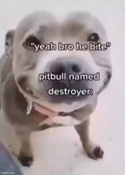 I swear, pitbulls can be either be completely berserk baby killers or amazingly cute family dogs. | made w/ Imgflip meme maker