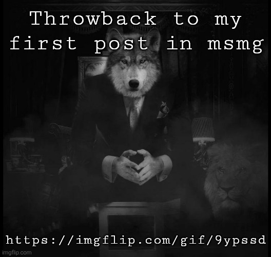 Wolf on a chair | Throwback to my first post in msmg; https://imgflip.com/gif/9ypssd | image tagged in wolf on a chair | made w/ Imgflip meme maker
