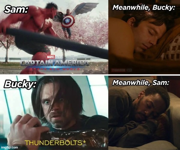 Gee. Nice They Helped Each Other | image tagged in falcon,winter soldier | made w/ Imgflip meme maker