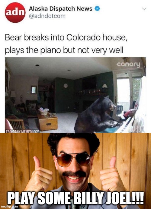 Piano Bear | PLAY SOME BILLY JOEL!!! | image tagged in borat pull requests approve | made w/ Imgflip meme maker