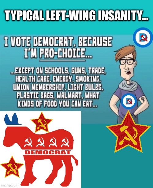 The political party of death, doom and destruction… | TYPICAL LEFT-WING INSANITY… | image tagged in political meme,democrats,pro choice,except for,insanity,left wing | made w/ Imgflip meme maker