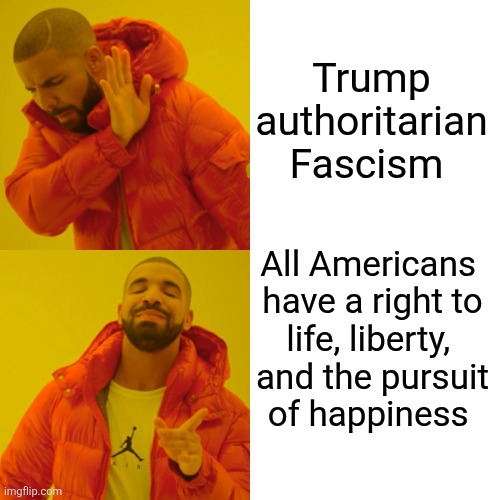 Drake Hotline Bling Meme | Trump authoritarian Fascism All Americans 

have a right to life, liberty, 
and the pursuit of happiness | image tagged in memes,drake hotline bling | made w/ Imgflip meme maker