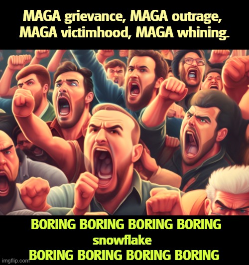 MAGA grievance, MAGA outrage, 
MAGA victimhood, MAGA whining. BORING BORING BORING BORING
snowflake 
BORING BORING BORING BORING | image tagged in trump,maga,grievance,outrage,victim,whiners | made w/ Imgflip meme maker