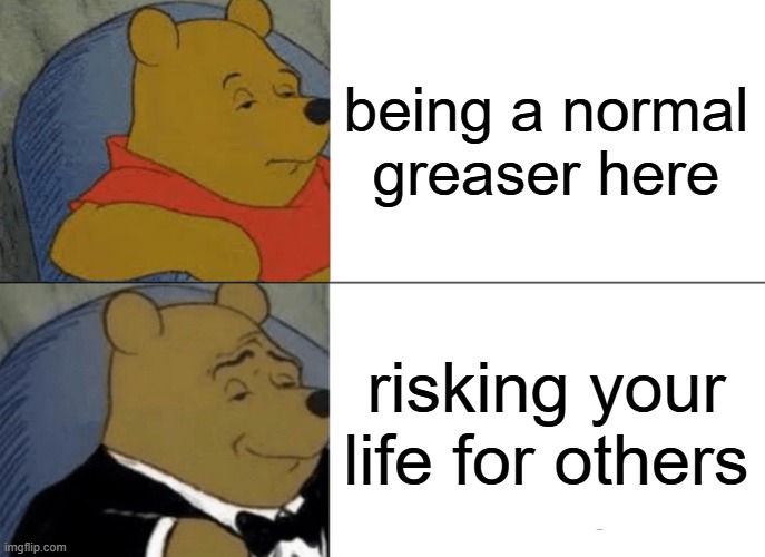 really ponyboy here | being a normal greaser here; risking your life for others | image tagged in memes,tuxedo winnie the pooh | made w/ Imgflip meme maker