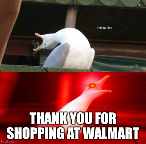 Inhaling Seagull  | THANK YOU FOR SHOPPING AT WALMART | image tagged in inhaling seagull | made w/ Imgflip meme maker