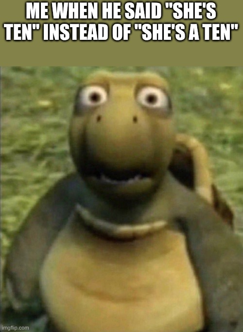 I be making that mistake all the time | ME WHEN HE SAID "SHE'S TEN" INSTEAD OF "SHE'S A TEN" | image tagged in turtle from over the hedge | made w/ Imgflip meme maker