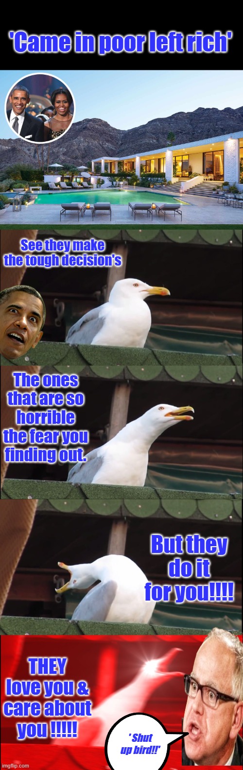 You can't get rich in GOV unless you're a criminal | 'Came in poor left rich'; See they make the tough decision's; The ones that are so horrible the fear you finding out. But they do it for you!!!! THEY love you & care about you !!!!! ' Shut up bird!!' | image tagged in memes,inhaling seagull | made w/ Imgflip meme maker