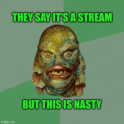 That Really Memes Something when you're from a Black Lagoon | THEY SAY IT'S A STREAM; BUT THIS IS NASTY | image tagged in imgflip humor,dank meme,creature from black lagoon,nasty,meme stream,green | made w/ Imgflip meme maker
