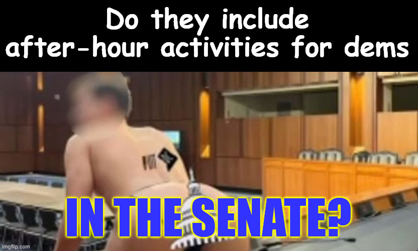 Do they include after-hour activities for dems IN THE SENATE? | made w/ Imgflip meme maker