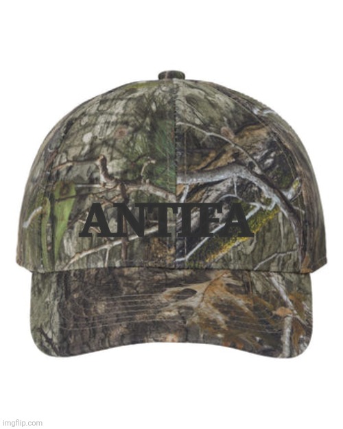 New Save We The People ANTIFA merch | ANTIFA | image tagged in save we the people,antifa cap,anti maga,resist fascisim,democracy | made w/ Imgflip meme maker