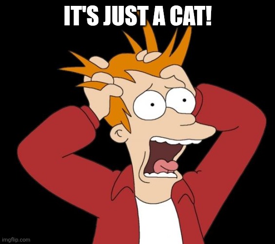panic attack | IT'S JUST A CAT! | image tagged in panic attack | made w/ Imgflip meme maker
