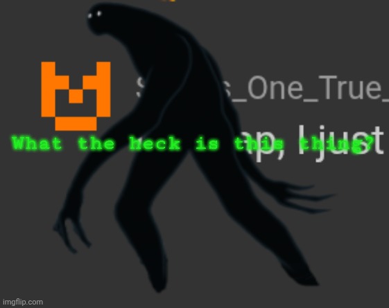 What the heck is this thing? | made w/ Imgflip meme maker