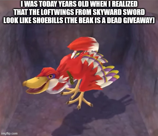 I WAS TODAY YEARS OLD WHEN I REALIZED THAT THE LOFTWINGS FROM SKYWARD SWORD LOOK LIKE SHOEBILLS (THE BEAK IS A DEAD GIVEAWAY) | image tagged in gaming | made w/ Imgflip meme maker