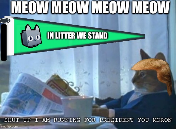 CATT | MEOW MEOW MEOW MEOW; IN LITTER WE STAND; SHUT UP I AM RUNNING FOR PRESIDENT YOU MORON | image tagged in memes,i should buy a boat cat,cats,shitpost | made w/ Imgflip meme maker