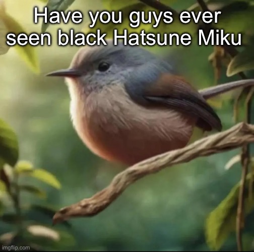 No balls | Have you guys ever seen black Hatsune Miku | image tagged in no balls,msmg | made w/ Imgflip meme maker