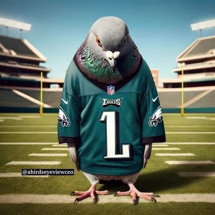 Eagles Blank Meme Template