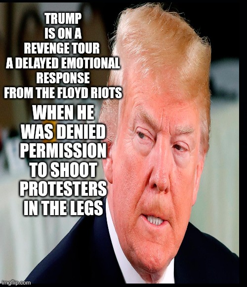 TRUMP IS ON A REVENGE TOUR 

A DELAYED EMOTIONAL RESPONSE

 FROM THE FLOYD RIOTS WHEN HE WAS DENIED PERMISSION TO SHOOT PROTESTERS IN THE LE | image tagged in black background | made w/ Imgflip meme maker