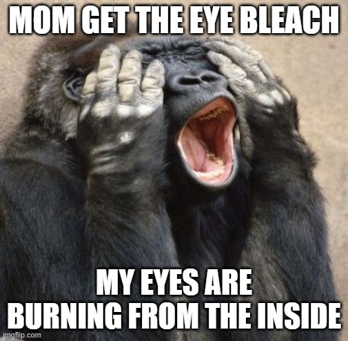 MOM GET THE EYE BLEACH MY EYES ARE BURNING FROM THE INSIDE | image tagged in my eyes gorilla | made w/ Imgflip meme maker