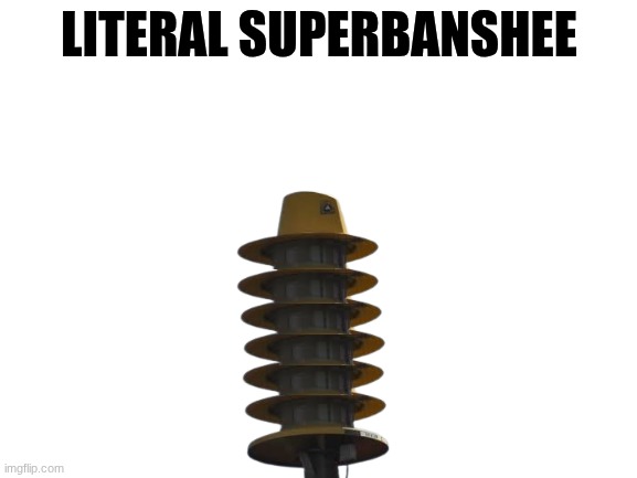 bansheesuper | LITERAL SUPERBANSHEE | image tagged in blank white template | made w/ Imgflip meme maker