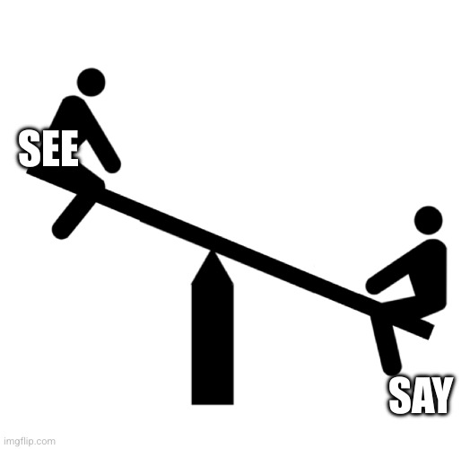 Seesaw mood swings | SEE SAY | image tagged in seesaw mood swings | made w/ Imgflip meme maker