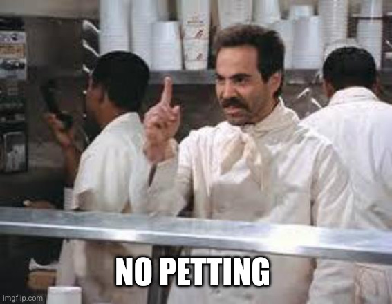 No soup | NO PETTING | image tagged in no soup | made w/ Imgflip meme maker