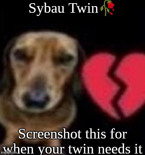 this buffoon so absent minded | Sybau Twin🥀; Screenshot this for when your twin needs it | image tagged in this buffoon so absent minded,screenshot it,sybau | made w/ Imgflip meme maker
